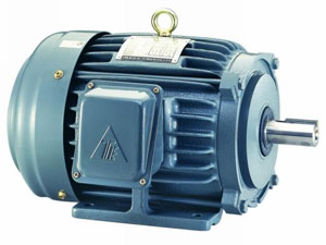 motor teco motor teco